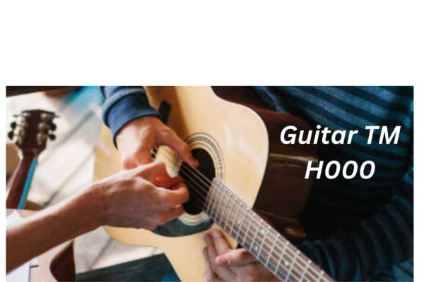 Guitar TM H000