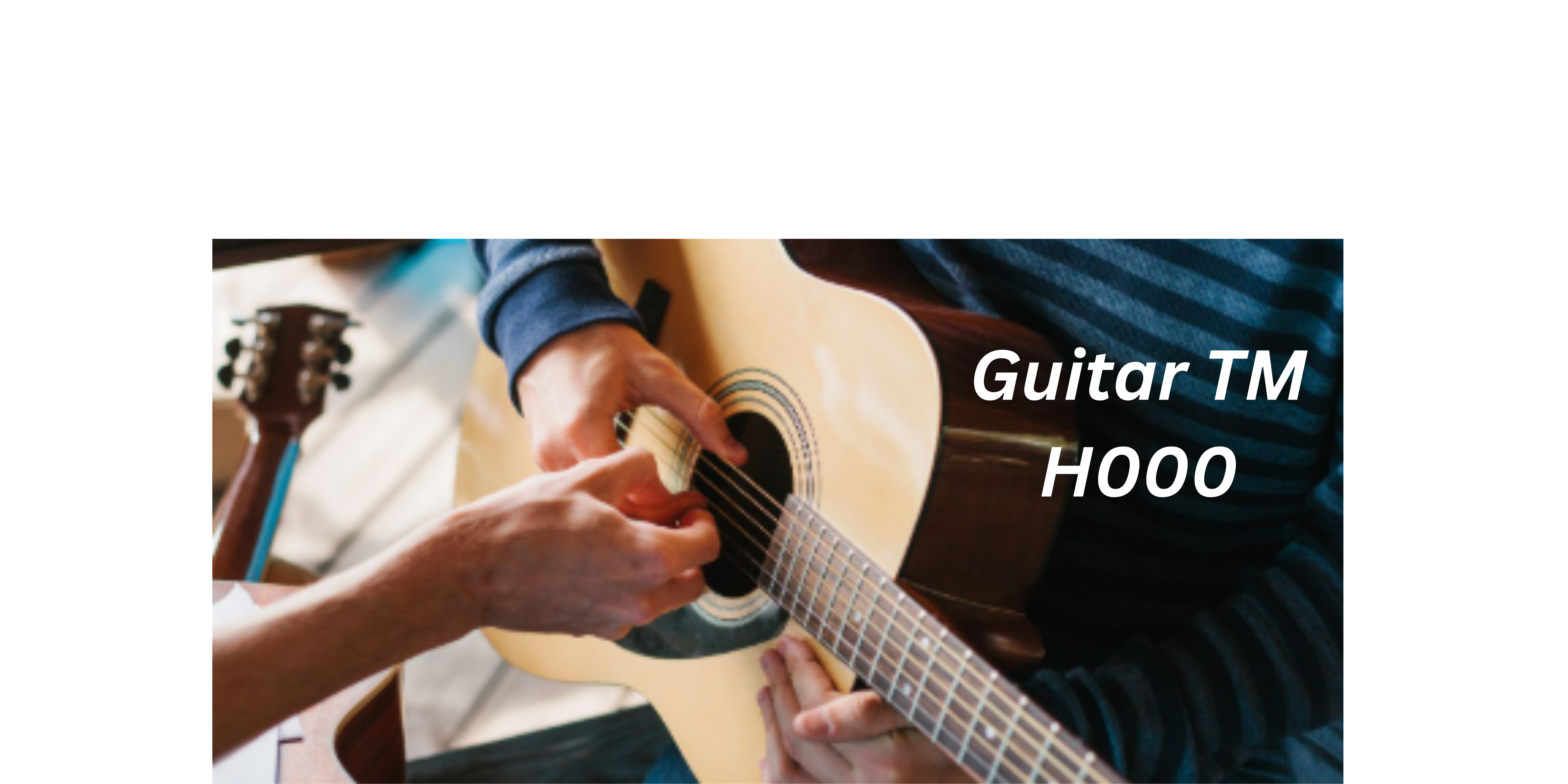 Guitar TM H000