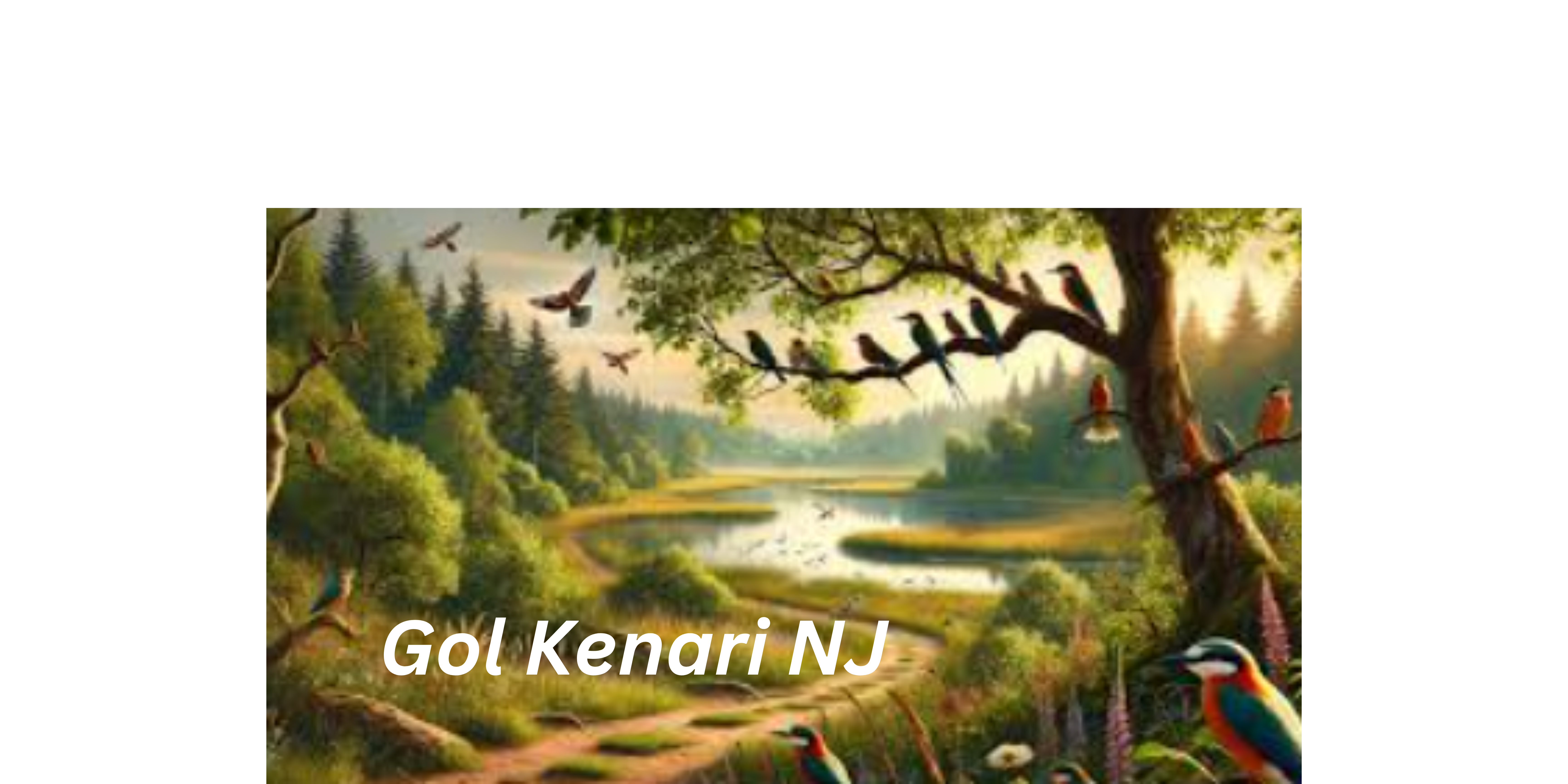 Gol Kenari NJ