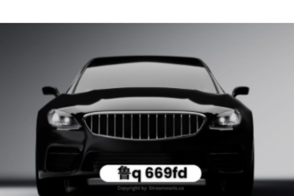 鲁Q 669FD