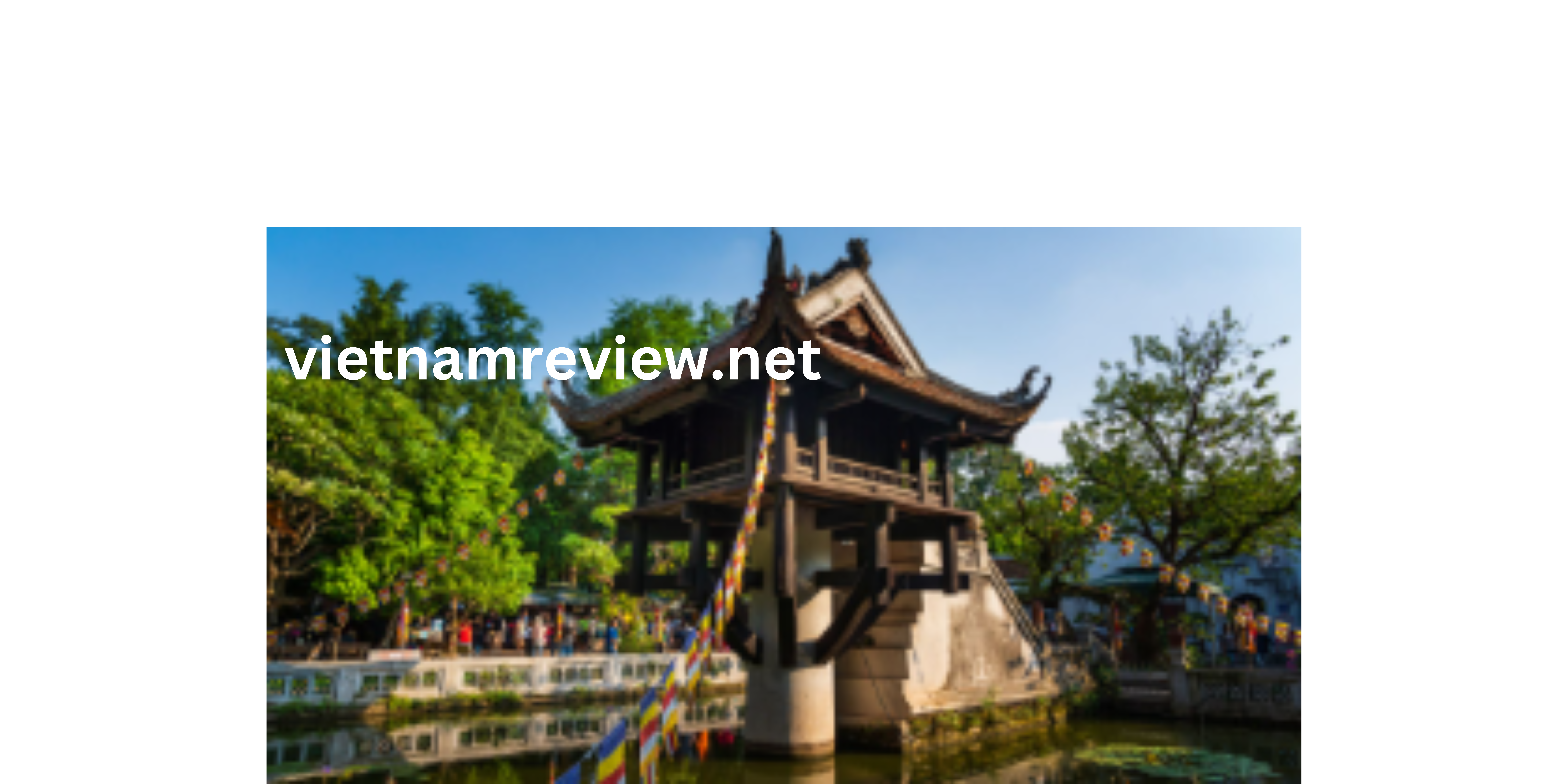 vietnamreview.net